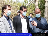 سرمازدگی محصولی را بر درختان باغات شهریار باقی نگذاشته است/ باغداران نیازمند همیاری ویژه مسؤولان عالی هستند