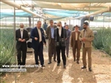 بازدید فرماندار از مجموعه تولید آلوئه ورای کشت و صنعت معروف خانی
