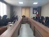 شهریار_در اجرای دستور تشکیل گروه راهبردی امور بانوان با موضوع هماهنگی و برنامه ریزی اجرای طرح های فرهنگی و اجتماعی در شهرستان شهریار، جلسه کمیته راهبردی بانوان شهریار برگزار شد.
