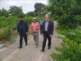بازدید از اراضی کشاورزی روستاهای بخش جوقین