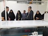 زینب اختری مدیرکل دفتر امور بانوان و خانواده وزارت کشور از کارخانه لامپ کم مصرف فروزش صبا شهر بازدید کرد