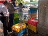 کشف و از بین بردن مرغ های فاسد توسط بازرسان 
