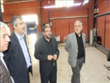 از کارگاه گلیم بافی در شهر سعید آباد شهرستان شهریار بازدید به عمل آورده شد