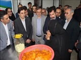 نگاه ویژه معاون رییس‌جمهور به بانوان کارآفرین در روستاهای بخش جوقین