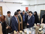بازدید معاون وزیر و رئیس سازمان آموزش فنی و حرفه ای کشور از مرکز آموزش فنی و حرفه‌ای شهرستان شهریار